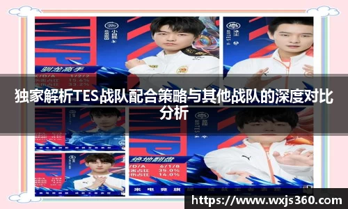 独家解析TES战队配合策略与其他战队的深度对比分析