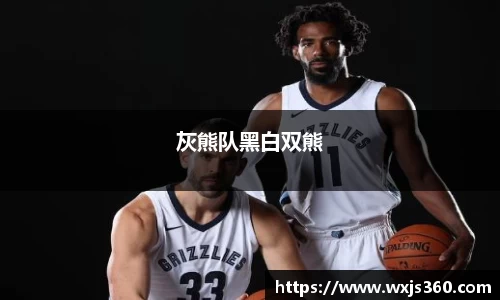 灰熊队黑白双熊