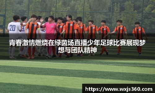青春激情燃烧在绿茵场直播少年足球比赛展现梦想与团队精神