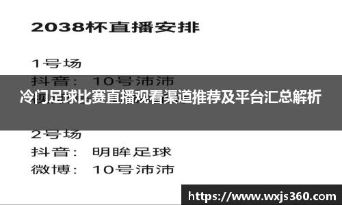 冷门足球比赛直播观看渠道推荐及平台汇总解析