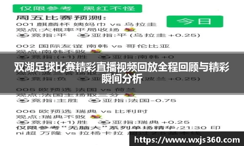双湖足球比赛精彩直播视频回放全程回顾与精彩瞬间分析
