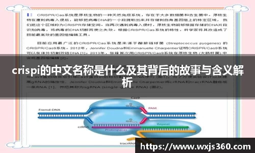 crispi的中文名称是什么及其背后的故事与含义解析