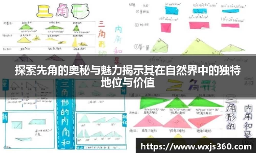 万向娱乐注册