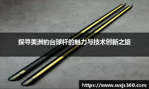 探寻美洲豹台球杆的魅力与技术创新之旅